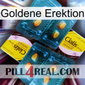 Golden Erection cialis5